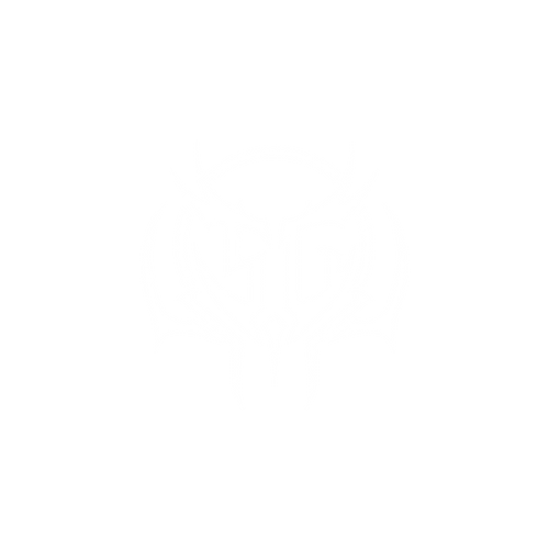 Shadow  Guilt Official